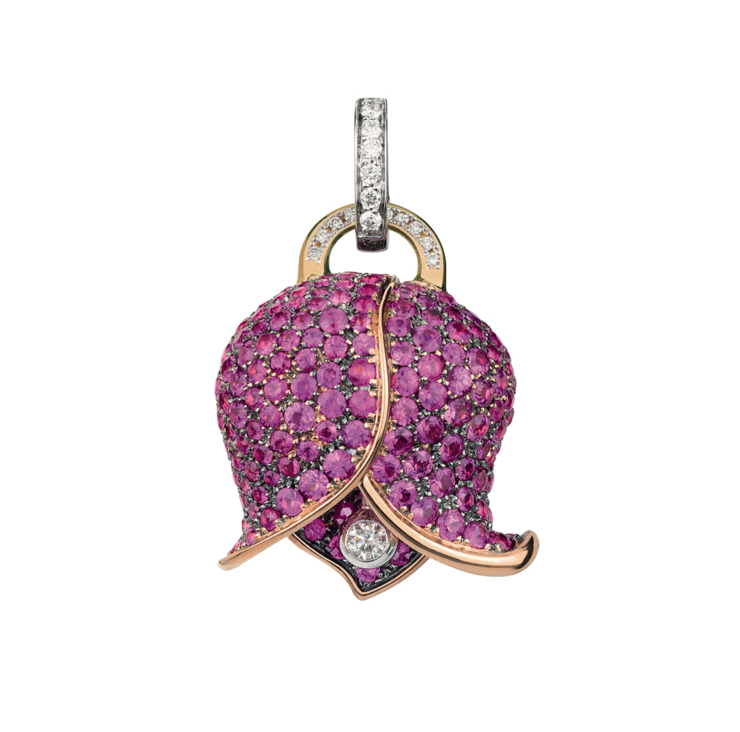 Chantecler Bouganville Campanella